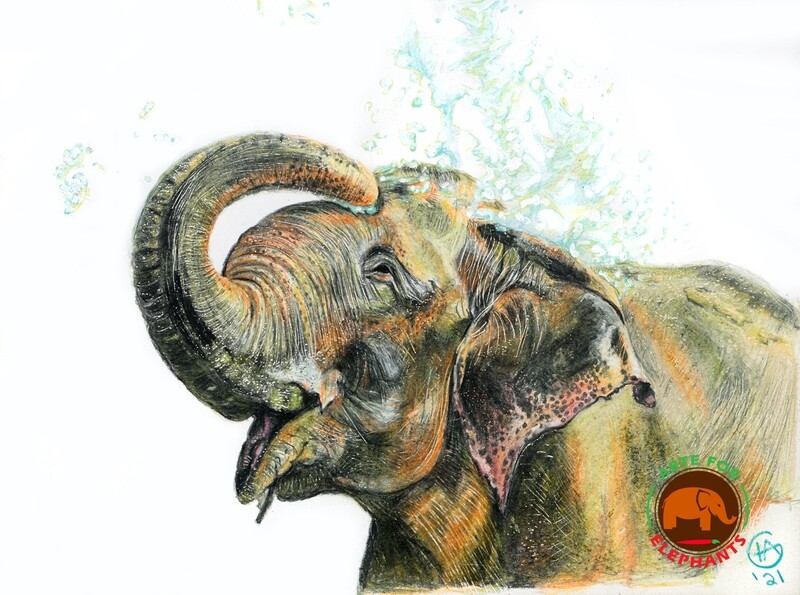 Raju Joy NEW- Limited Edition Print