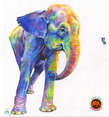 Rainbow Guida- Large Fine Art Print