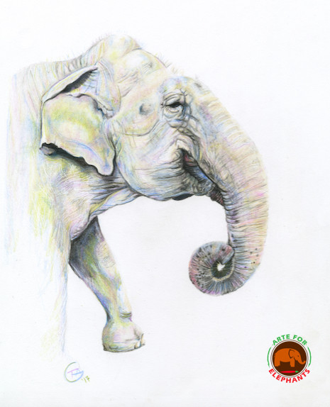Ramba Elephant in Moonstone Memorial