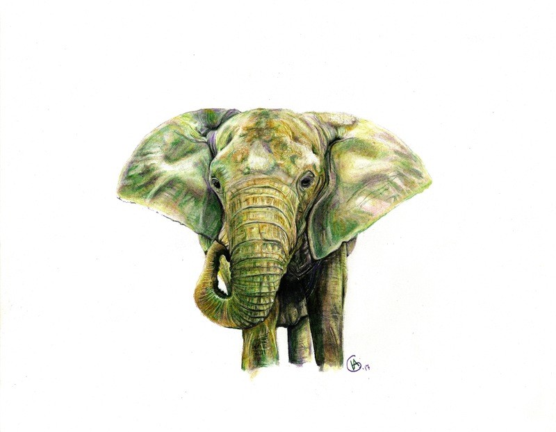 Kenya in Green