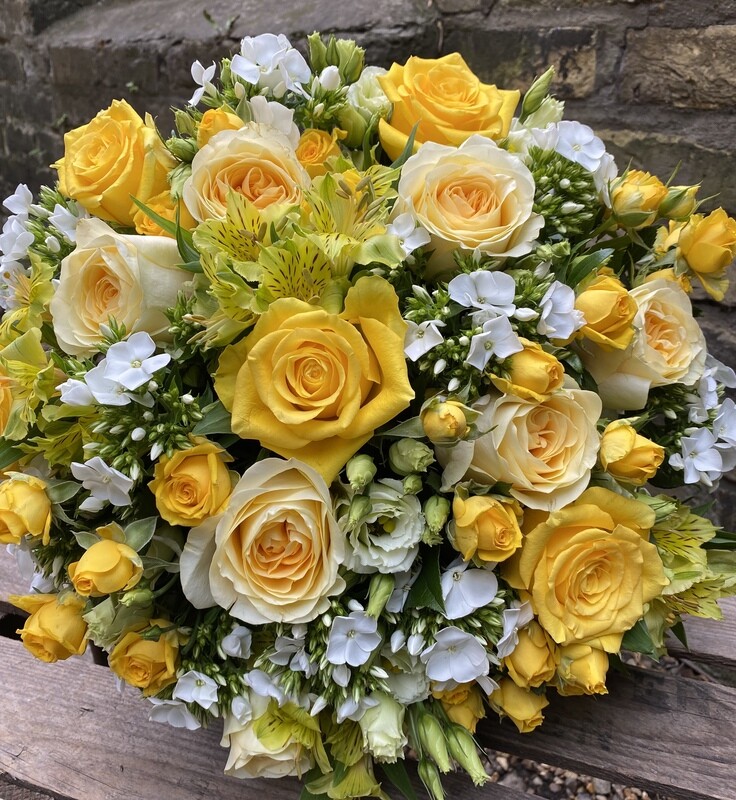 Mellow Yellow