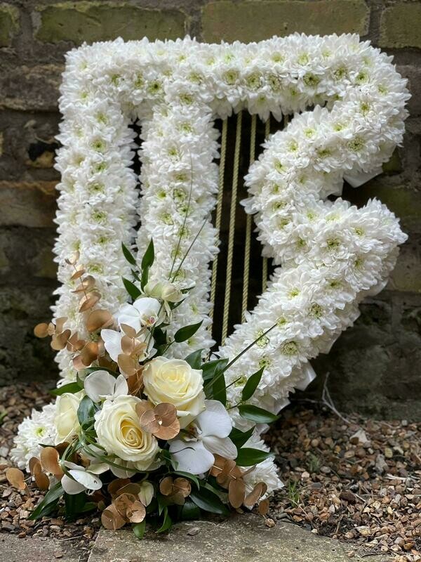 Harp Tribute