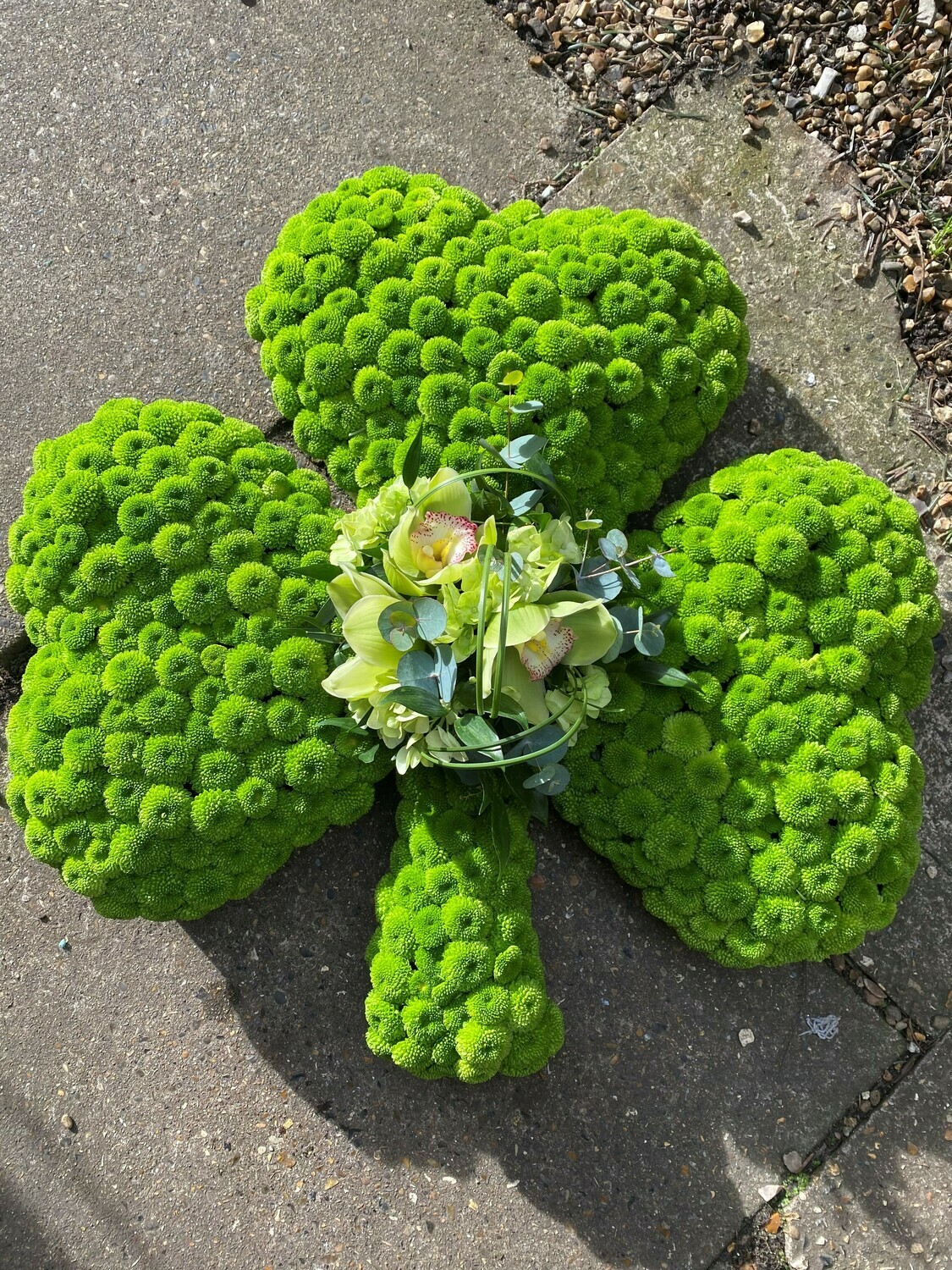 Shamrock tribute Shamrock tribute