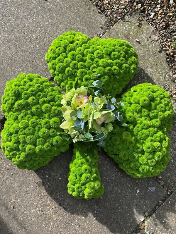 Shamrock tribute