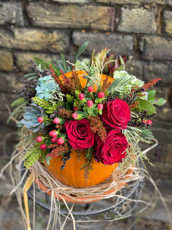 Trick or Treat Large