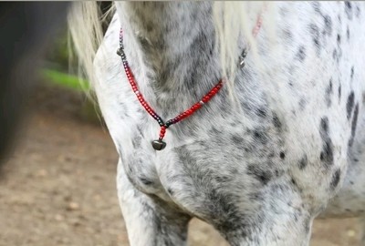 ROSA Rhythm Beads for horses in RED & BLACK