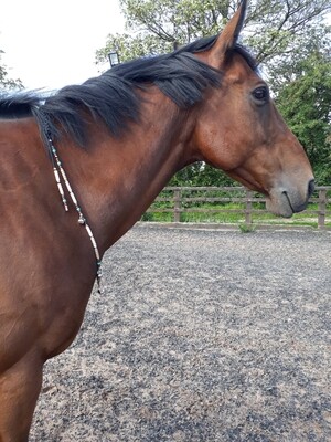 APACHE Rhythm Beads with safety strap for horses APACHE Rhythm Beads with safety strap for horses