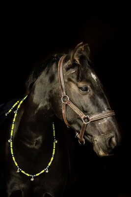 DAZZLE rhythm beads for horses, ponies & equines