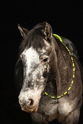VIZ safety hi-viz rhythm beads for horses, ponies & equines