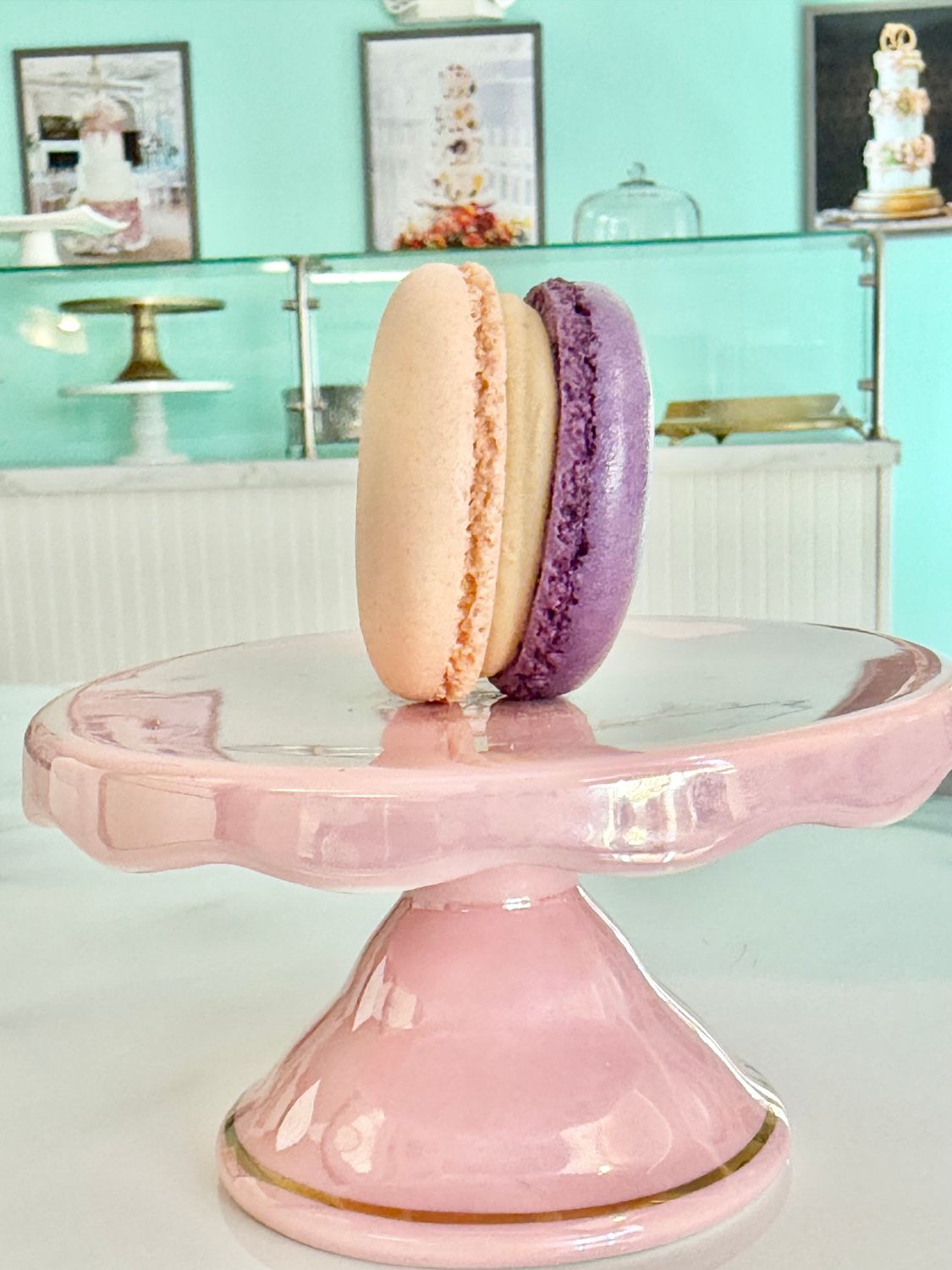 Blackberry Biscoff Cookie Butter French Macaron