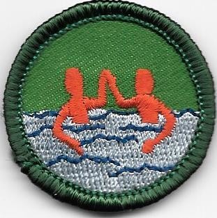 Swimming Green Border 2001-2010