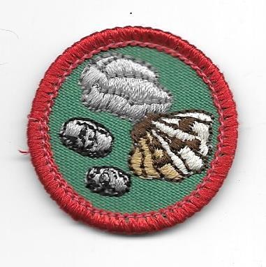 Collecting Hobbies Red Border 1987-1998