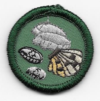 Collecting Hobbies Green Border 1999-2000