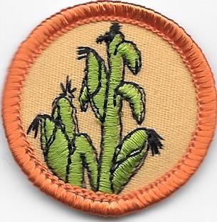 Food Raiser Orange Border 1980-1991