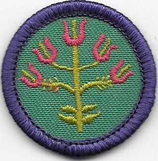Folk Arts Purple Border 1980-1998