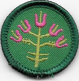Folk Arts Green Border 2001-2010