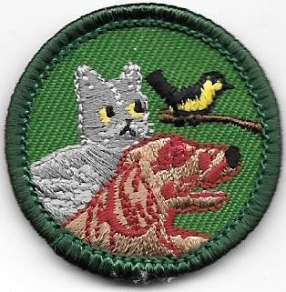 Pet Care Green Border 2001-2010