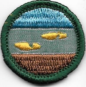 Rambler, Backing Types: Cheesecloth