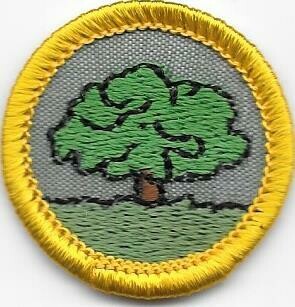 Plant Kingdom Tree, Backing Types: Cheesecloth