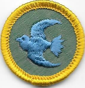 Animal Kingdom Bird, Backing Types: Cheesecloth