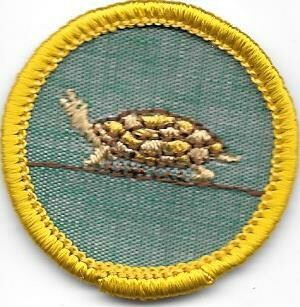 Animal Kingdom Reptile and Amphibian, Backing Types: Cheesecloth
