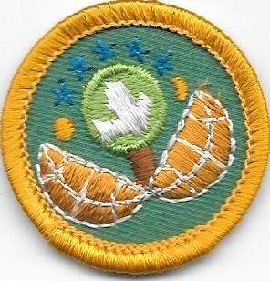World of Outdoors Dabbler Yellow Border 1980-1998