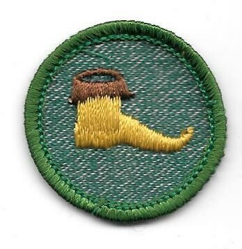 Troop Dramatics--Marrow edge, light green border 1955-1956