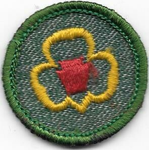 My Troop--Marrow edge, light green border 1955-1956