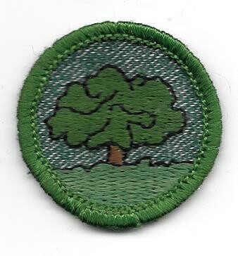 Tree Finder--Marrow edge, light green border 1955-1956