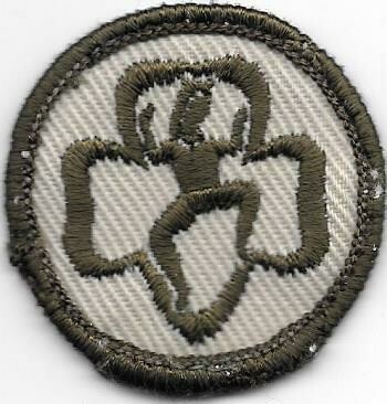 Brownie GS 1.5 in cloth emblem