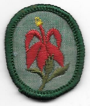 Cardinal Flower (1919-1984), Age: 60&#39;s cheesecloth back