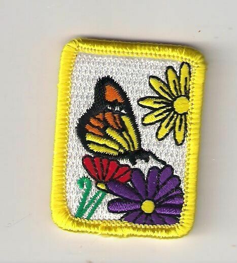 Butterflies--Artistry's Re-release of retired troop's own (IP only)