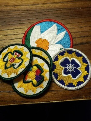 Older Girl Scout Programming