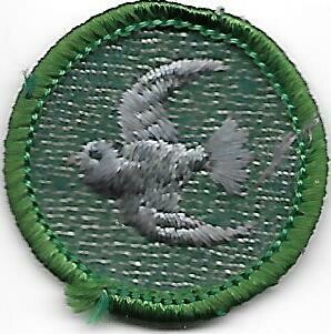 Bird Finder--Marrow edge, light green border 1955-1956