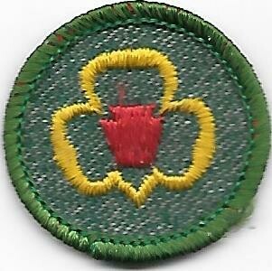My Troop--Marrow edge, light green border 1955-1956