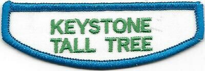 Keystone Tall Tree Jr/C/S/A ID strip 1980-2013