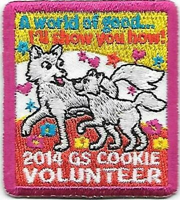 Volunteer 2014 Little Brownie Bakers