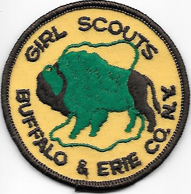 Buffalo &amp; Erie County NY council patch (NY)