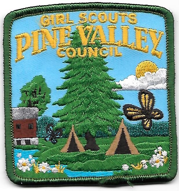 Pine Valley Council (GS) council patch (GA)