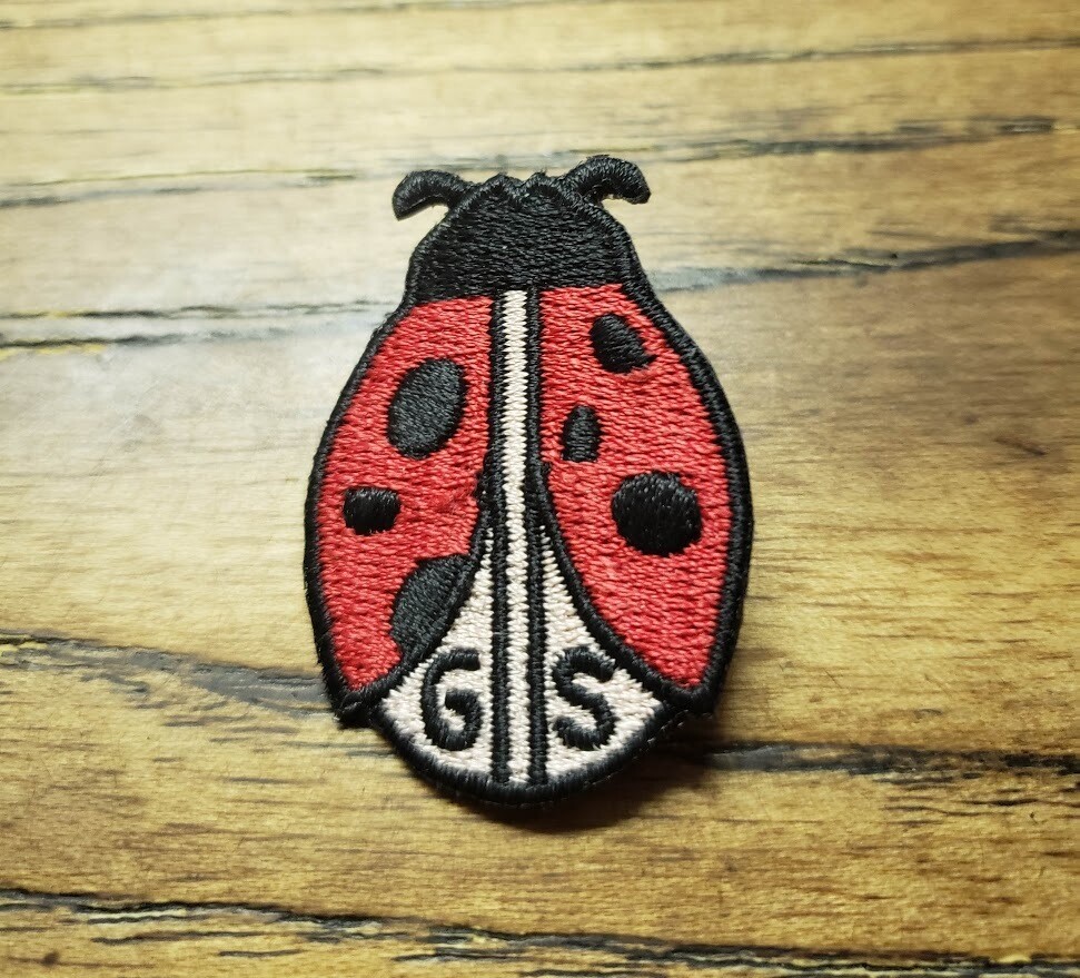 Ladybug Patch Pin