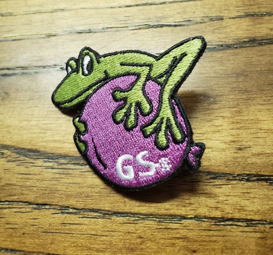 Frog Patch Pin