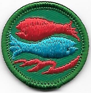 Fishing Greater Chicago Council own Junior Badge (Original)