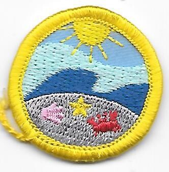 Beaches Forever Jersey Shore Council own Junior Badge (Original)