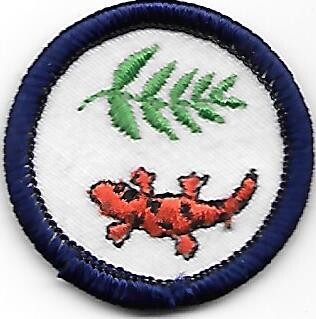 Great Smokey Mountain Tanasi Council own Junior Badge (Original)