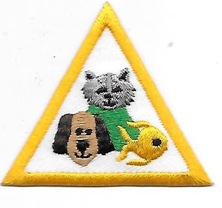 Pets Tanasi Council own Brownie Try it Badge (Original)