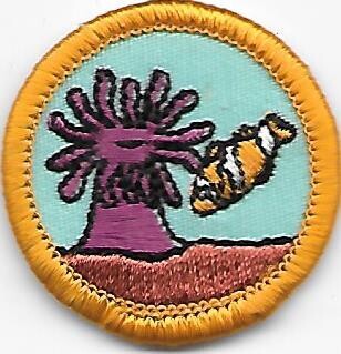 Marine Life Orange County Council own Junior Badge (Original)
