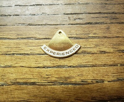 Girl Scout Trainer Pin Experienced Rocker (1987-2011)