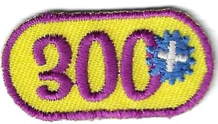 300+ Number Bar 2010-11 ABC