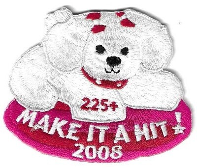 225+ Patch 2008  unknown council