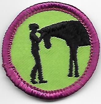 Hands on Horses Middle Tn Council own Junior Badge (Original)